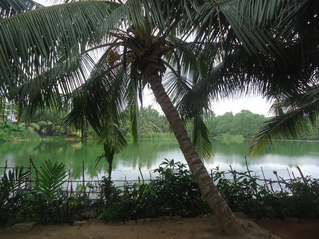 Lake View Cabana Paradise & Villa Tangalle Kültér fotó